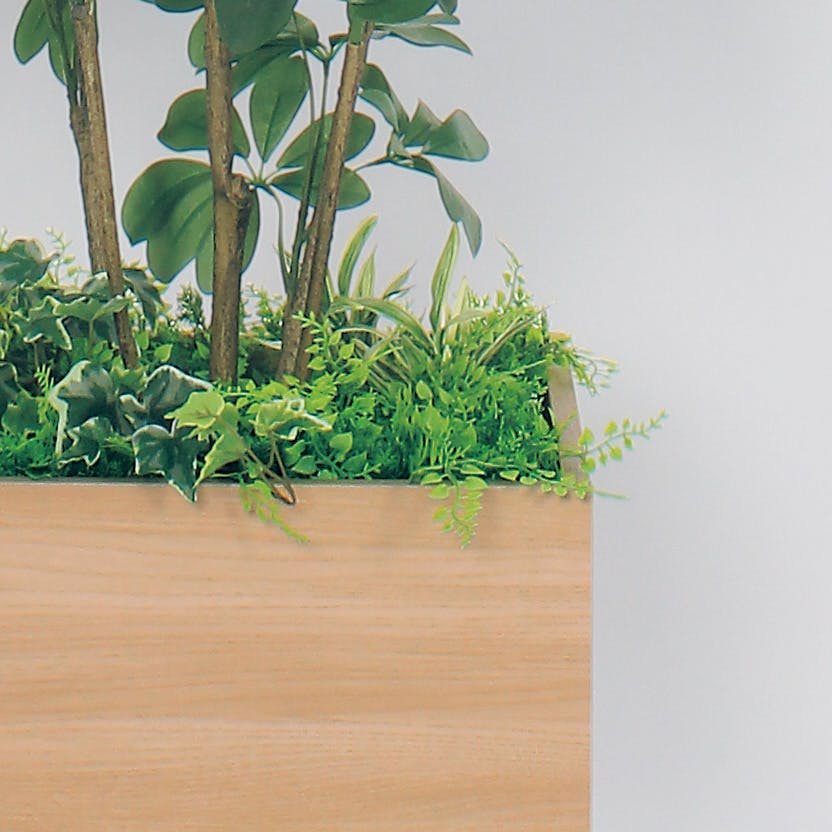 ボックスプランター GR5009 シェフレラ H1700｜人工観葉植物 樹木