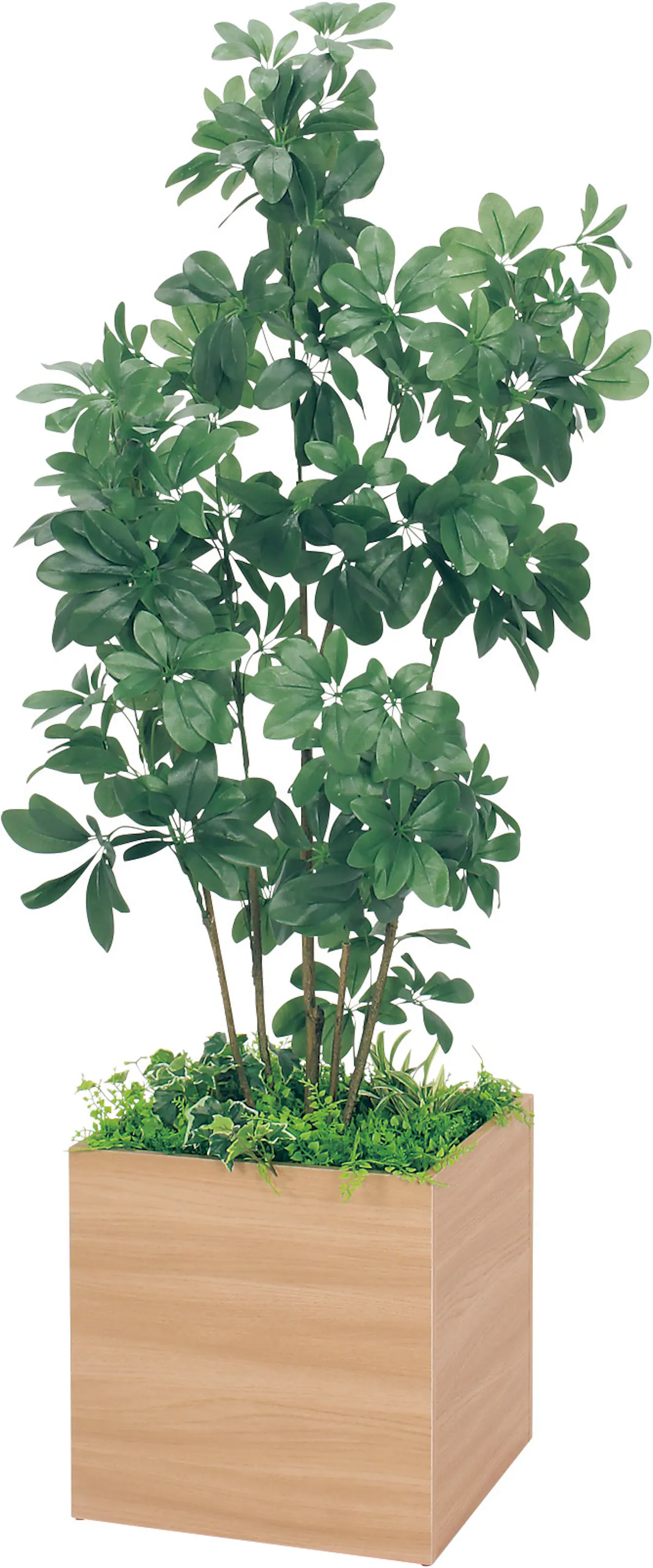 ボックスプランター Gr5009 シェフレラ H1700 人工観葉植物 樹木プランター ナチュラル