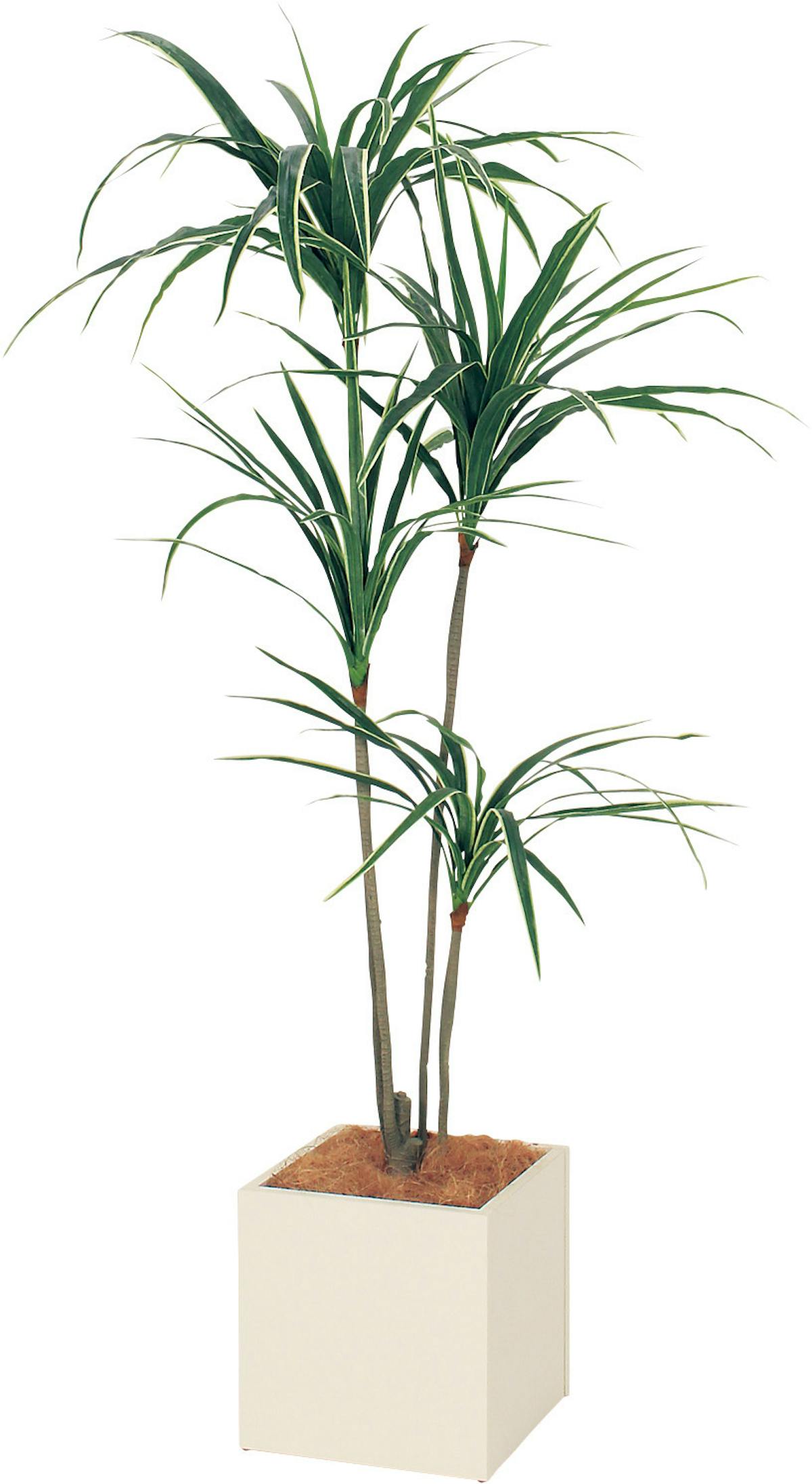 ボックスプランター Gr5014 ユッカ H1550 人工観葉植物 樹木プランター アイボリー ボックスプランター Gr5014 ユッカ H1550 人工観葉植物 樹木プランター アイボリー