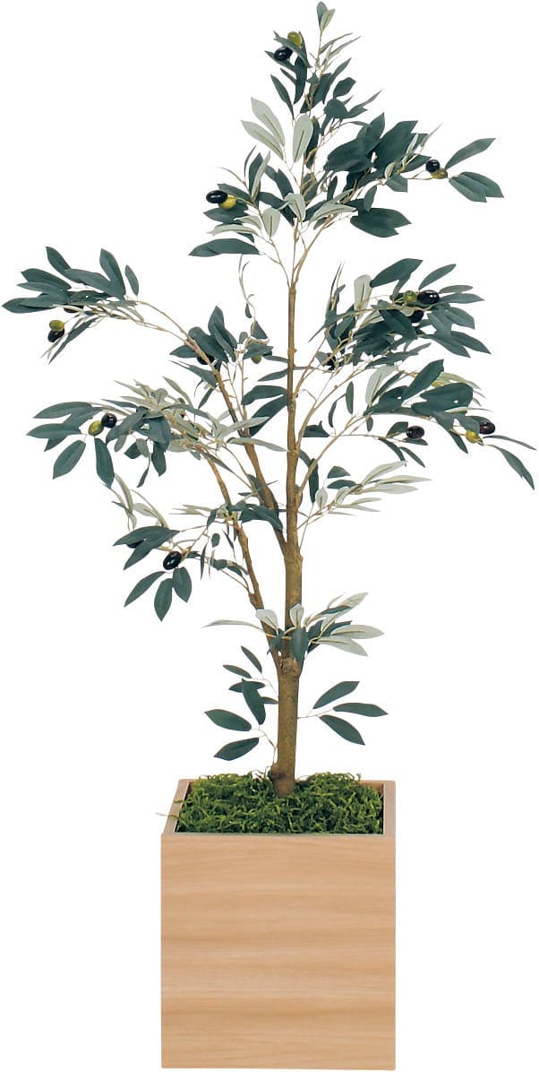 ボックスプランター GR5015 オリーブ H1250｜人工観葉植物 樹木