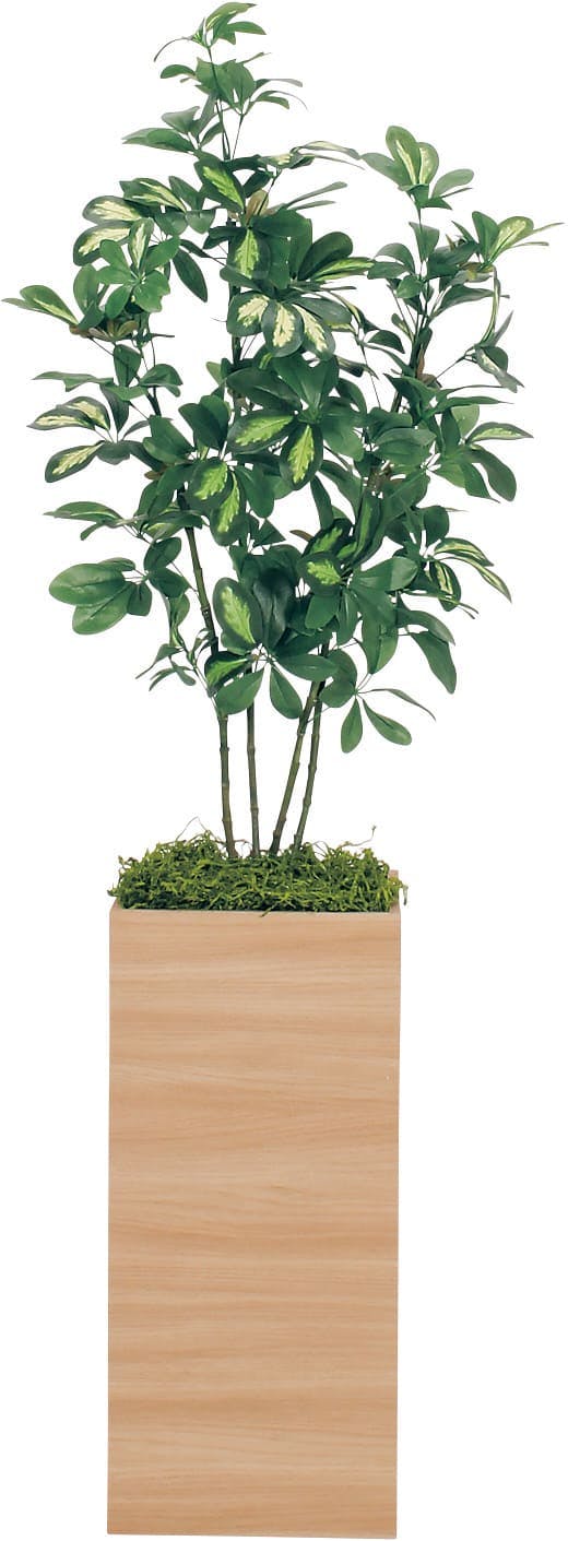 人工観葉植物 樹木パーテーション ナチュラル
