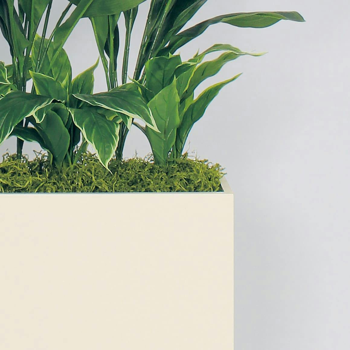ワイドパーテーション GR5025 ハラン H1400｜人工観葉植物 樹木