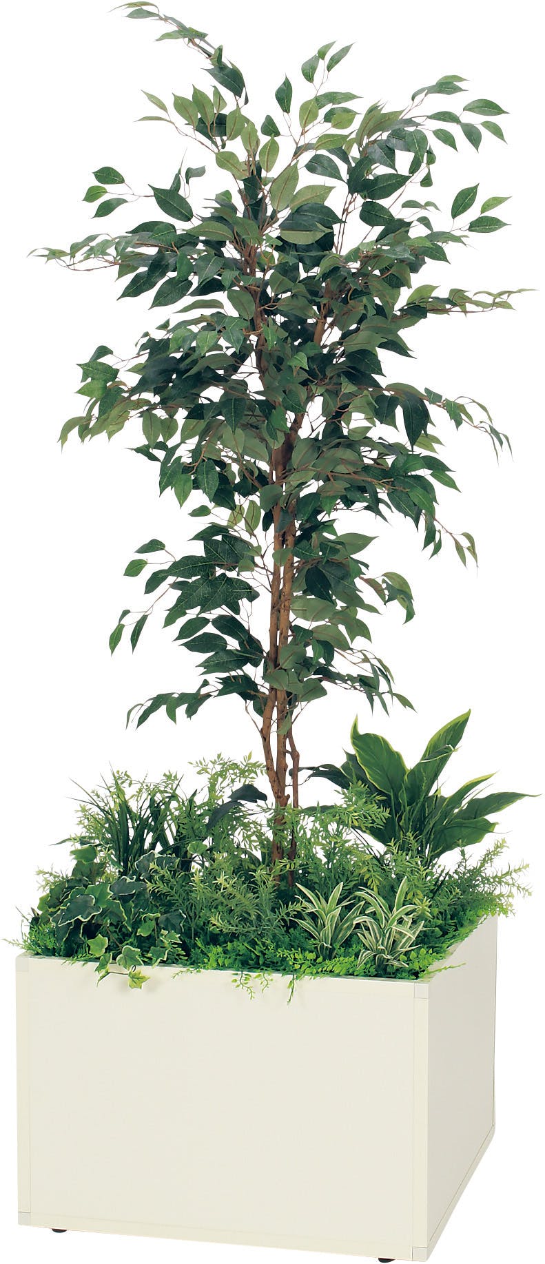 寄せ植えプランター GR5029 フィカスベンジャミン H1700｜人工観葉植物