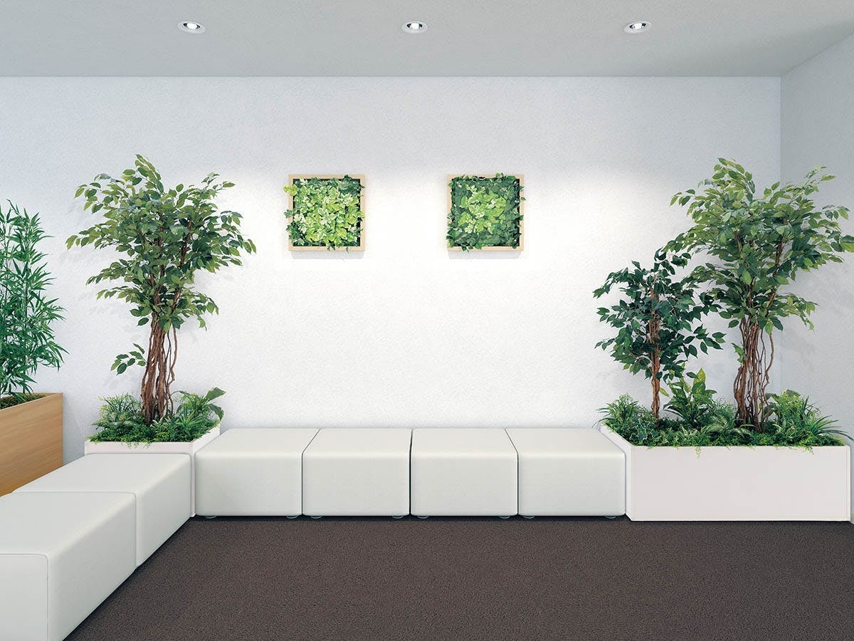 寄せ植えプランター GR5029 フィカスベンジャミン H1700｜人工観葉植物