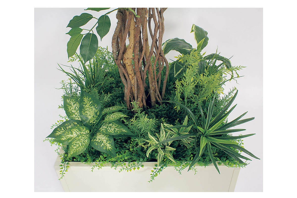 寄せ植えプランター GR5030 フィカスベンジャミン H2100｜人工観葉植物