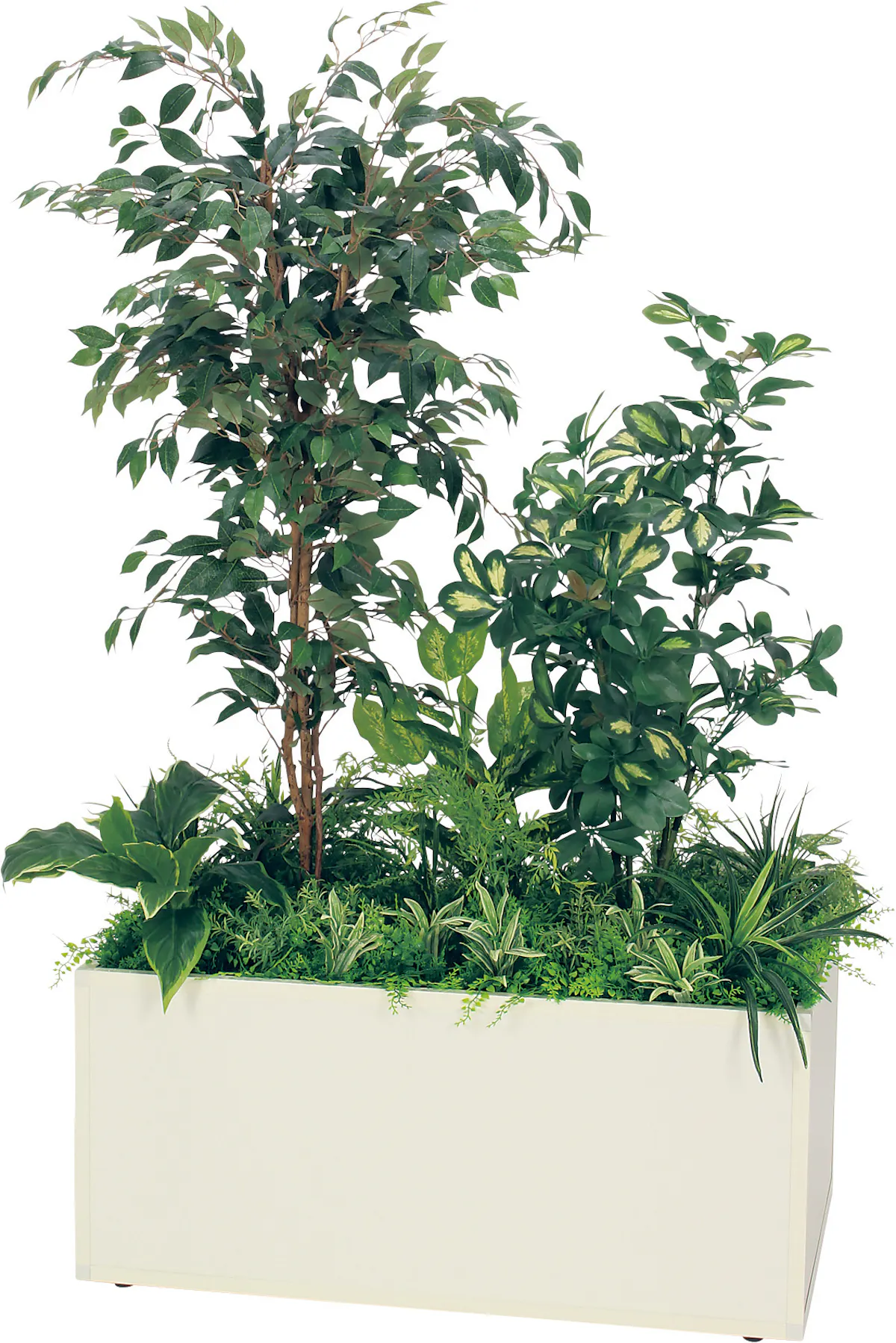 寄せ植えプランター Gr5031 フィカスベンジャミン シェフレラ H1700 人工観葉植物 連接樹木 アイボリー