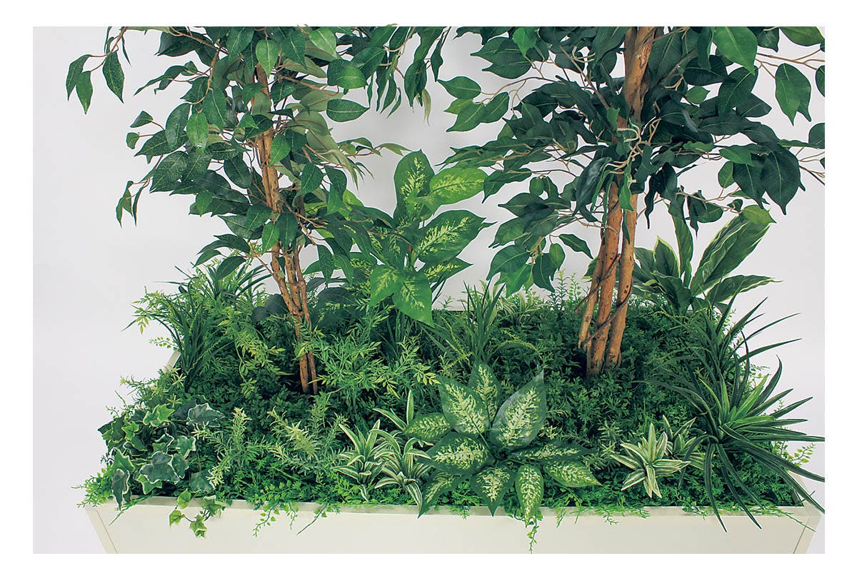 寄せ植えプランター GR5032 フィカスベンジャミン H1700｜人工観葉植物