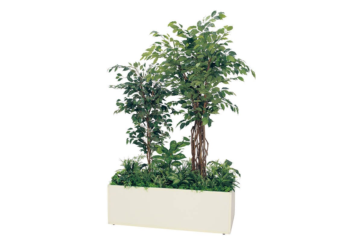 寄せ植えプランター GR5033 フィカスベンジャミン H2100｜人工観葉植物