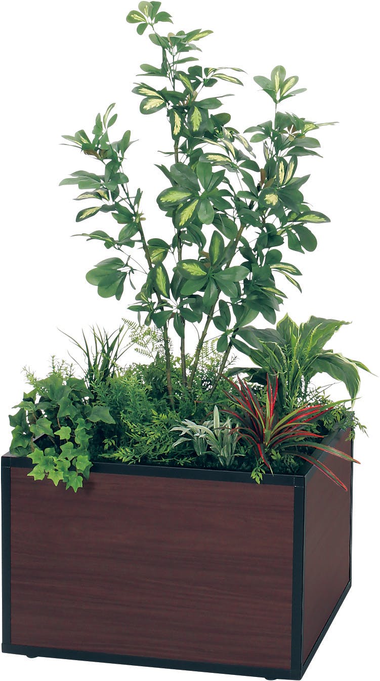寄せ植えプランター GR5034 シェフレラ H1300｜人工観葉植物 連接樹木