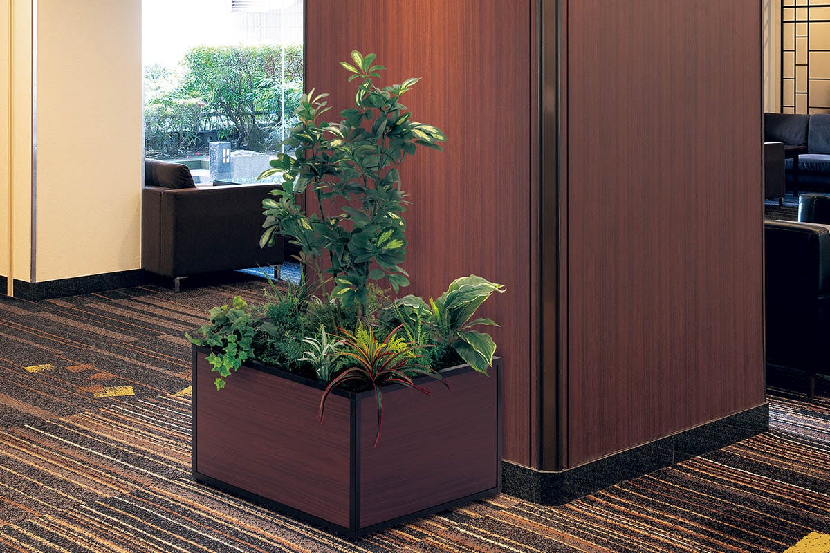 寄せ植えプランター GR5034 シェフレラ H1300｜人工観葉植物 連接樹木