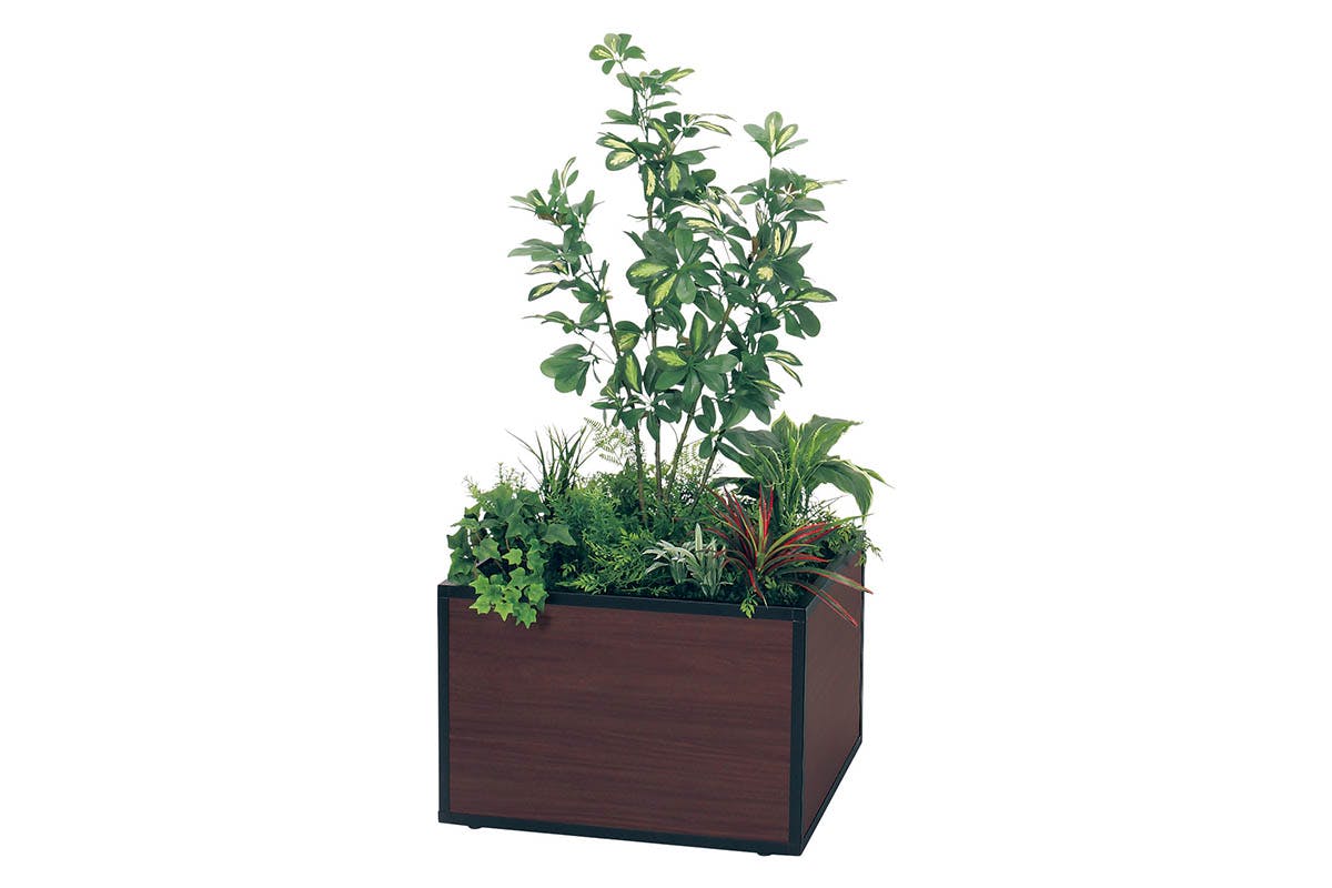寄せ植えプランター GR5034 シェフレラ H1300｜人工観葉植物 連接樹木