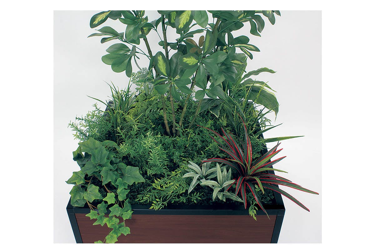 寄せ植えプランター GR5034 シェフレラ H1300｜人工観葉植物 連接樹木