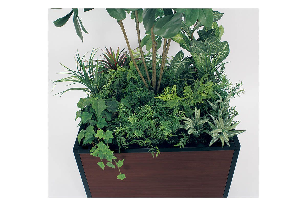 寄せ植えプランター GR5035 シェフレラ H1750｜人工観葉植物 連接樹木