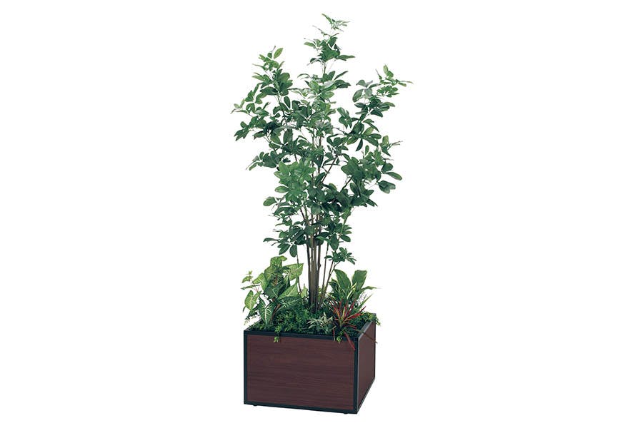 寄せ植えプランター GR5029 フィカスベンジャミン H1700｜人工観葉植物