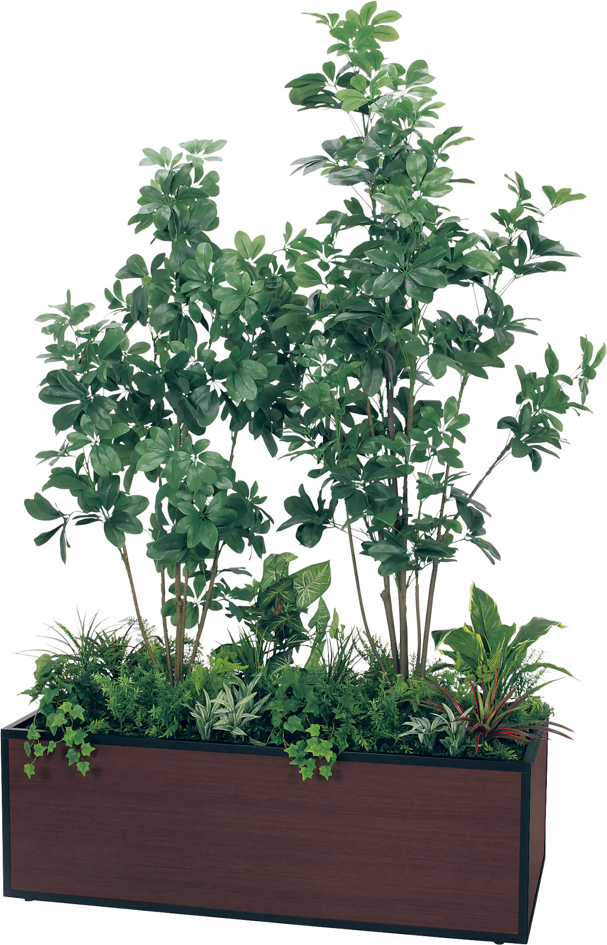 寄せ植えプランター GR5039 シェフレラ H2050｜人工観葉植物 連接樹木 