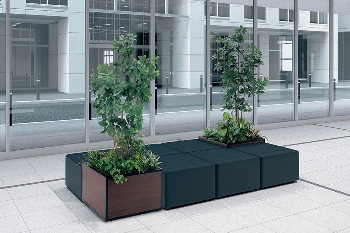 寄せ植えプランター GR5039 シェフレラ H2050｜人工観葉植物 連接樹木