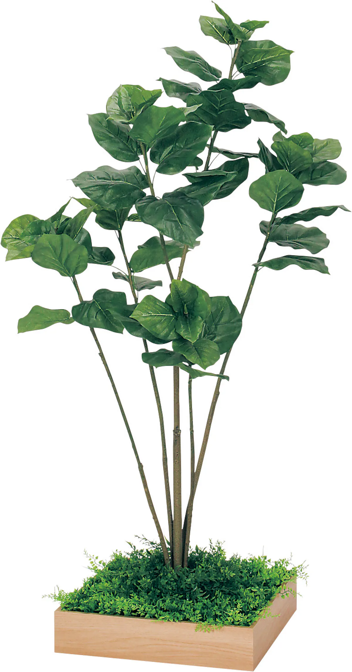 組み合わせプランター Gr5044 ウンベラータ H1500 人工観葉植物 樹木プランター ナチュラル