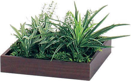 組み合わせプランター GR5046 H200｜人工観葉植物 樹木プランター セピア