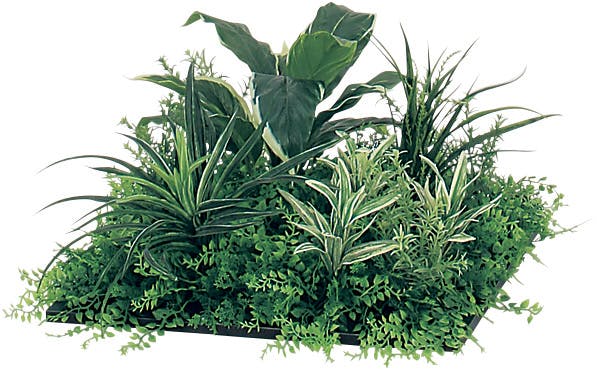 フロアグリーン GR5053 H300｜人工観葉植物 連接樹木