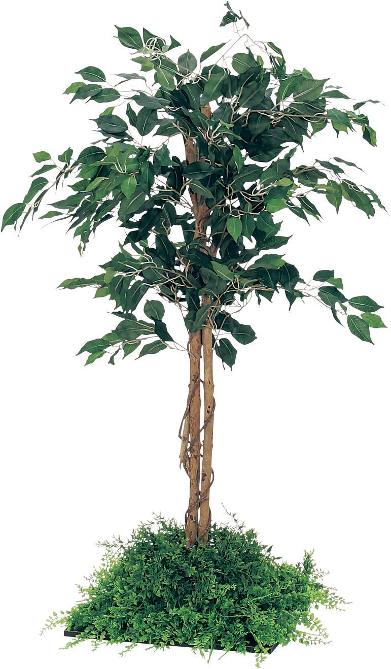 フロアグリーン GR5055 フィカスベンジャミン H1300｜人工観葉植物