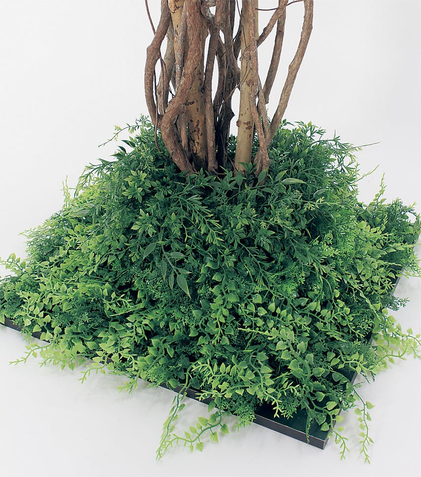 フロアグリーン GR5057 フィカスベンジャミン H1800｜人工観葉植物