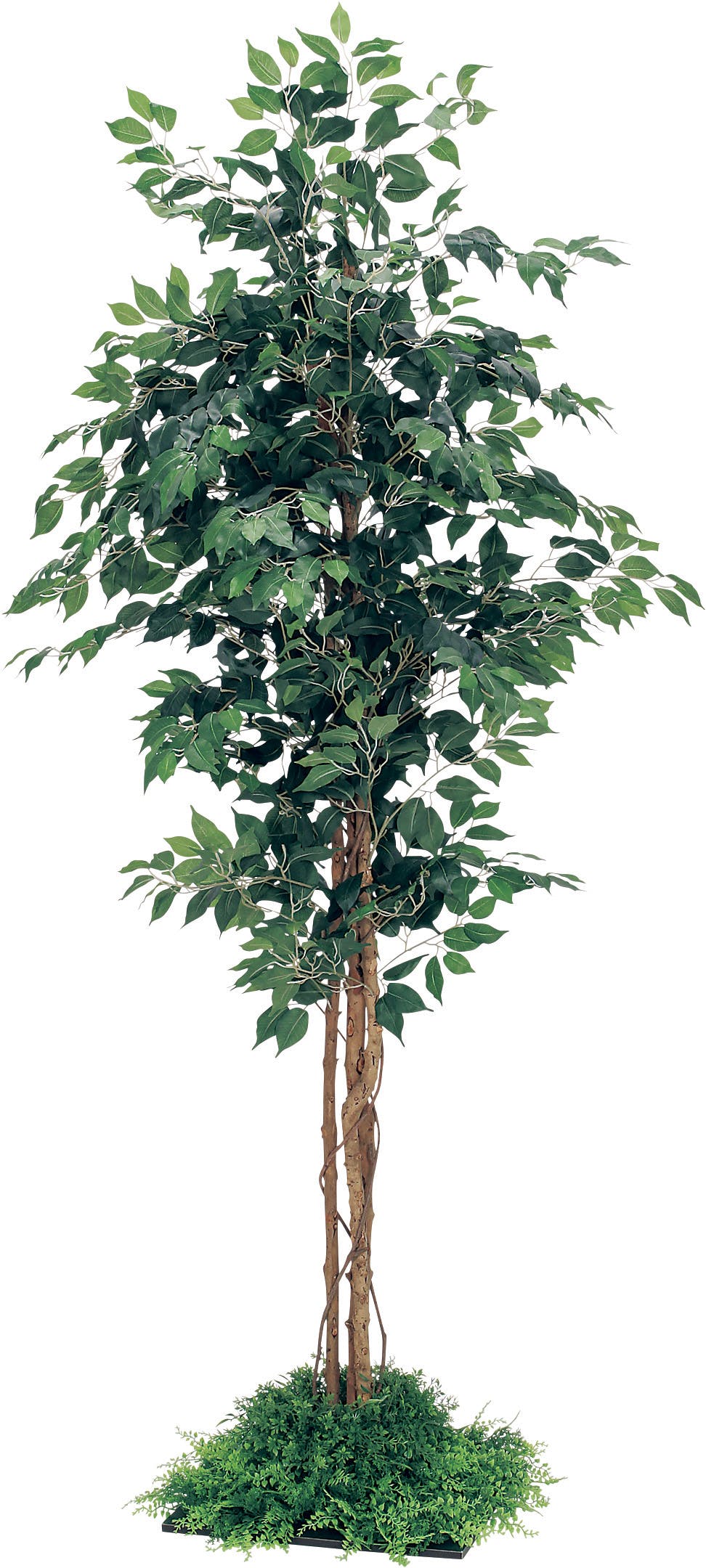 フロアグリーン GR5058 フィカスベンジャミン H2100｜人工観葉植物 連接樹木