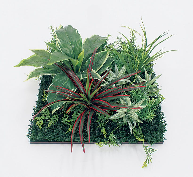 フロアグリーン GR5060 H300｜人工観葉植物 連接樹木