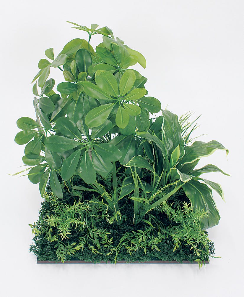 フロアグリーン GR5061 シェフレラ H550｜人工観葉植物 連接樹木