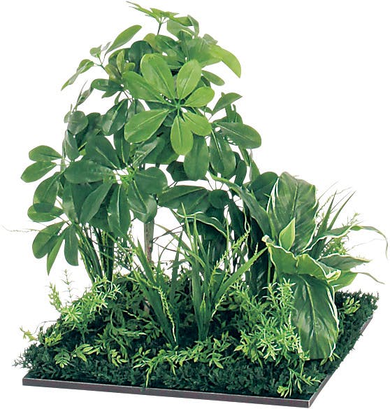 中型 人工観葉植物 緑色 フロアグリーン GR5061 シェフレラ H550｜人工観葉植物 連接樹木