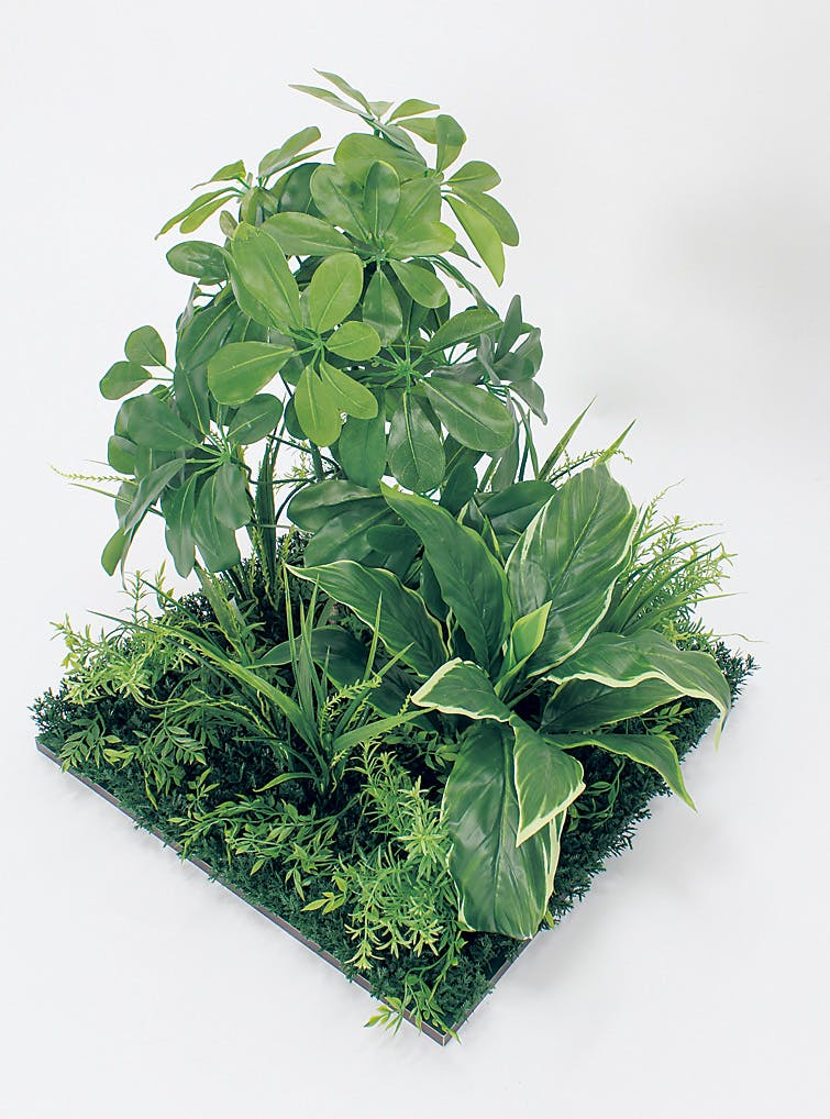 フロアグリーン GR5061 シェフレラ H550｜人工観葉植物 連接樹木