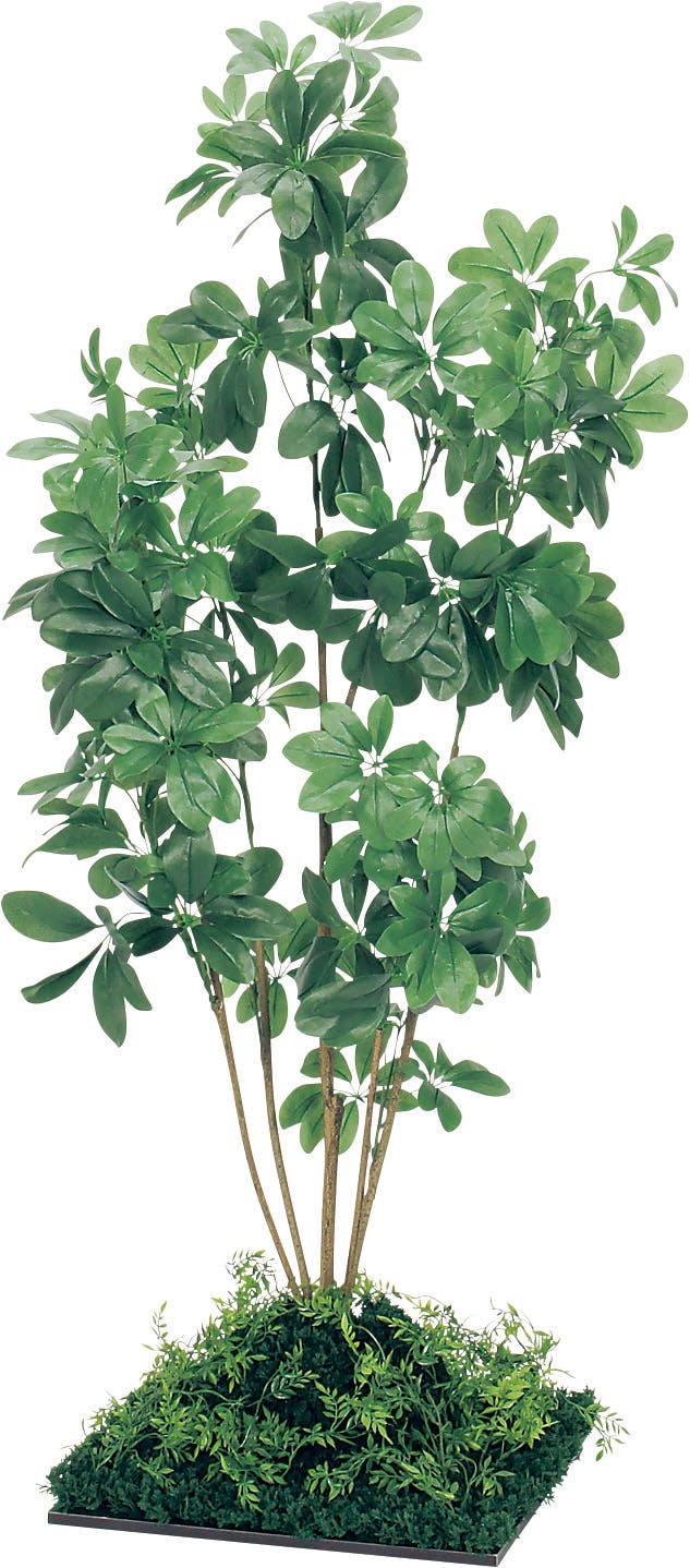 ボックスプランター GR5006 フィカスベンジャミン H1900｜人工観葉植物
