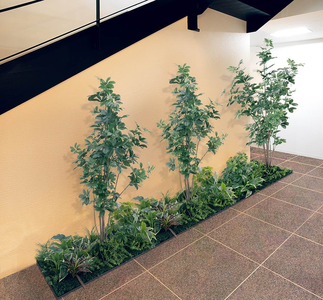 フロアグリーン GR5063 シェフレラ H1500｜人工観葉植物 連接樹木