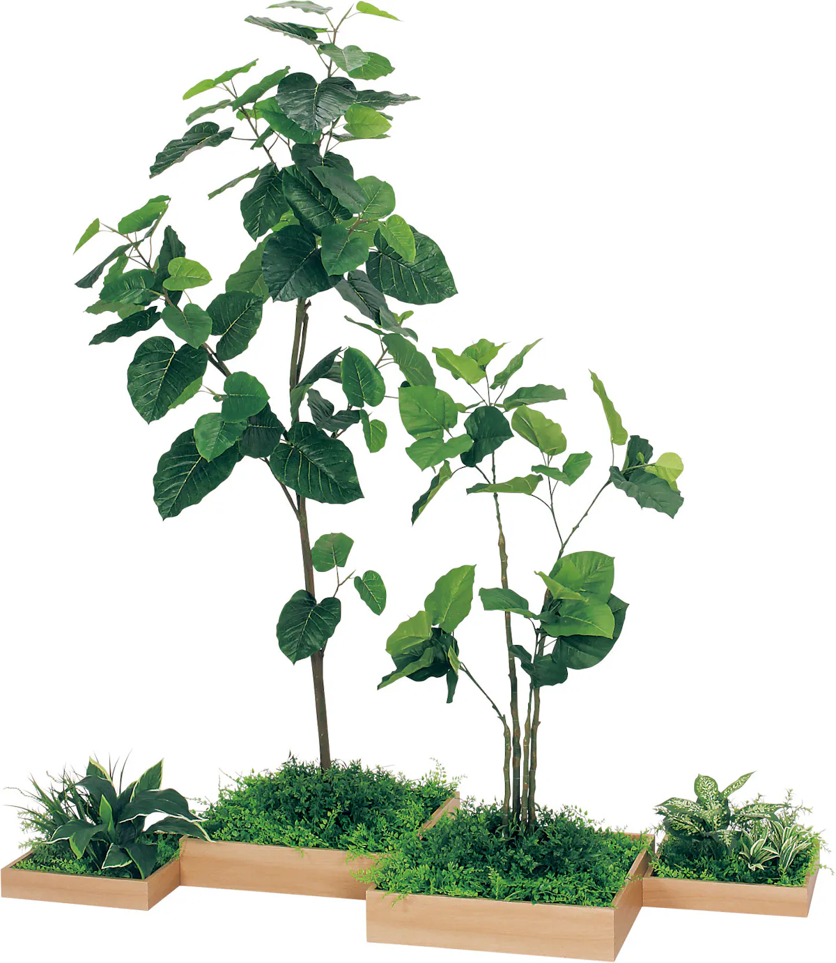 組み合わせプランター Gm5701 4連 ウンベラータ H1800 人工観葉植物 樹木プランター ナチュラル 組み合わせプランター Gm5701 4連 ウンベラータ H1800 人工観葉植物 樹木プランター ナチュラル