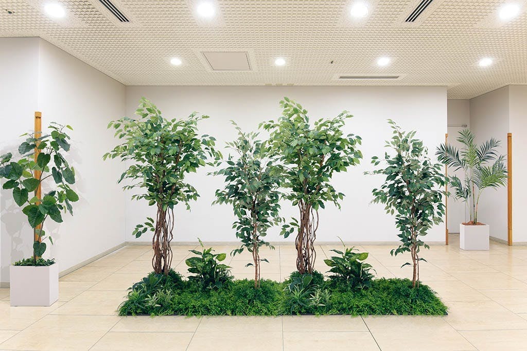 光触媒　人工観葉植物　ウォールグリーン　フィッカスベンジャミナセパレート 400 光触媒 人工観葉植物 ウォールグリーン フィッカスベンジャミナ