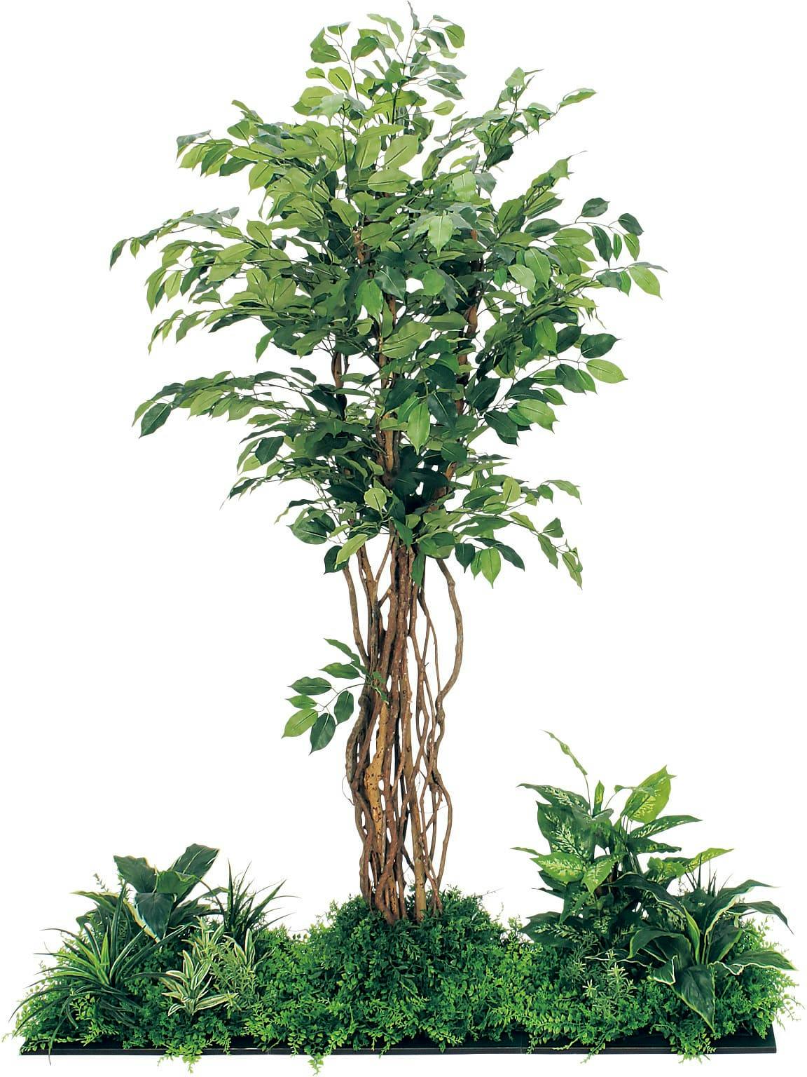 フロアグリーン GM5708 45角3連 フィカスベンジャミン H1800｜人工観葉