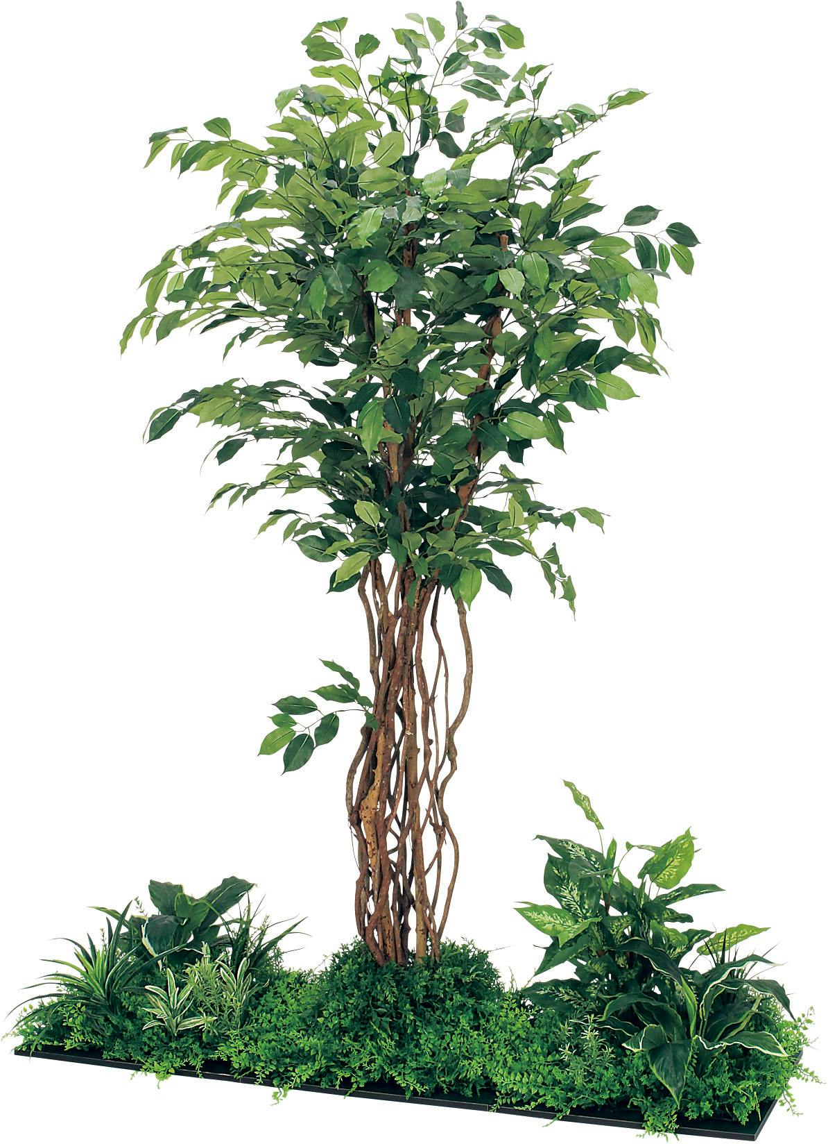 フロアグリーン GM5708 45角3連 フィカスベンジャミン H1800｜人工観葉植物 連接樹木