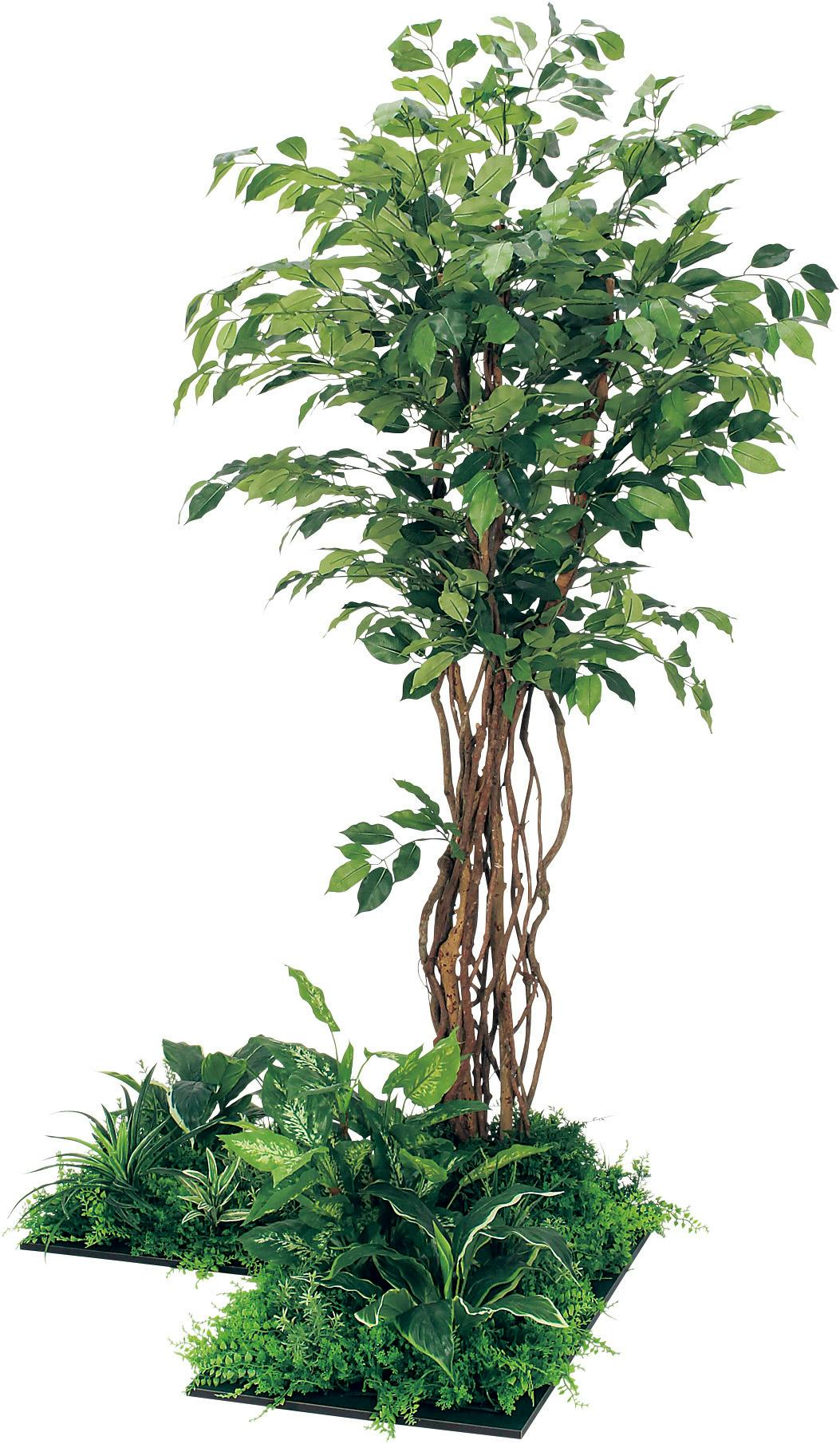 フロアグリーン　GM5709 45角3連　フィカスベンジャミン　H1800｜人工観葉植物　連接樹木　