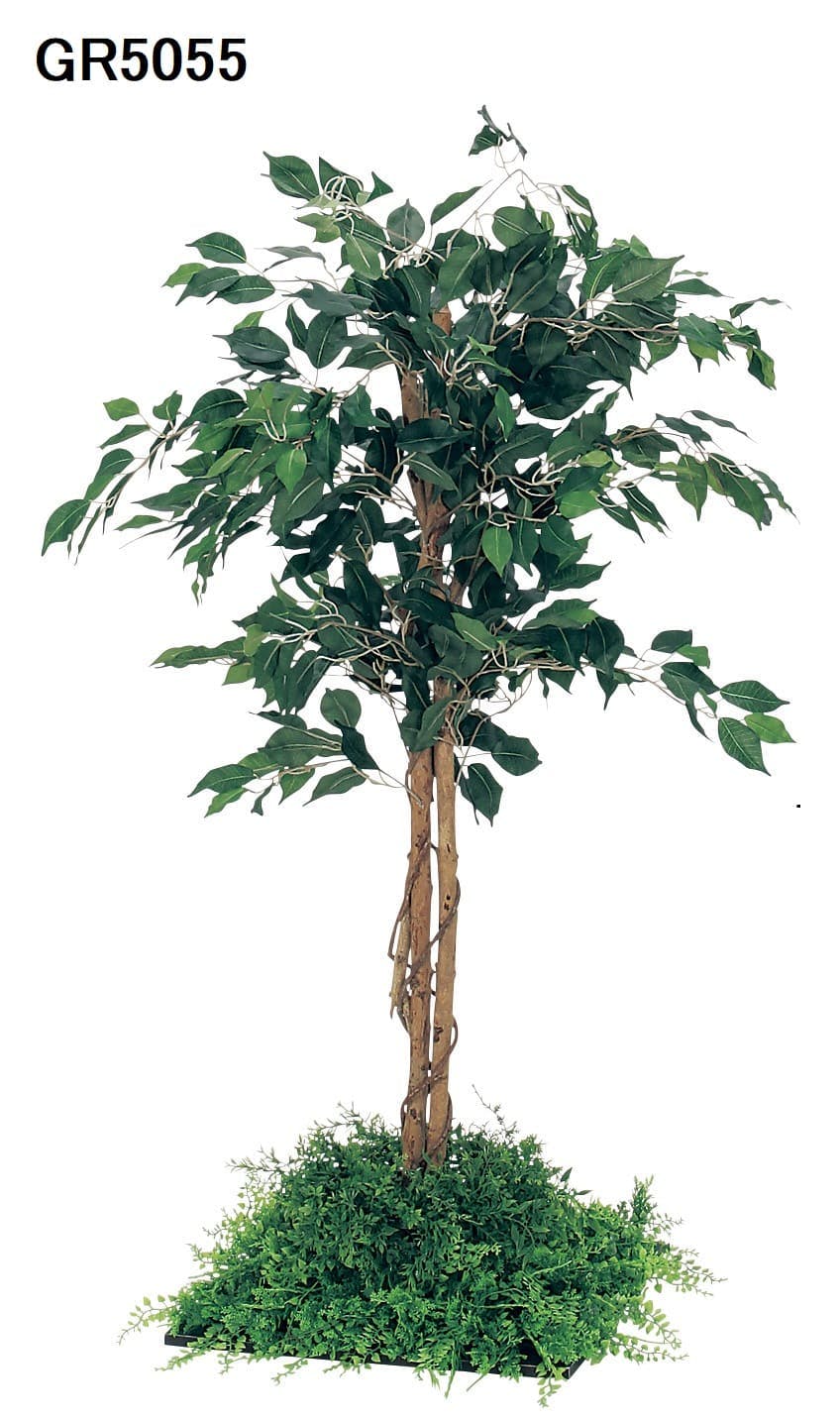 フロアグリーン GM5710 45角4連 フィカスベンジャミン H1800 ｜人工