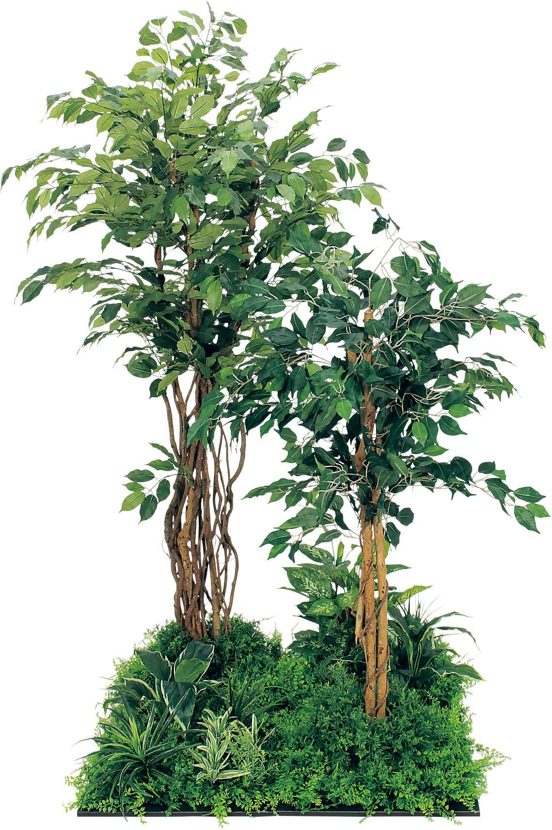 フロアグリーン GM5710 45角4連 フィカスベンジャミン H1800 ｜人工