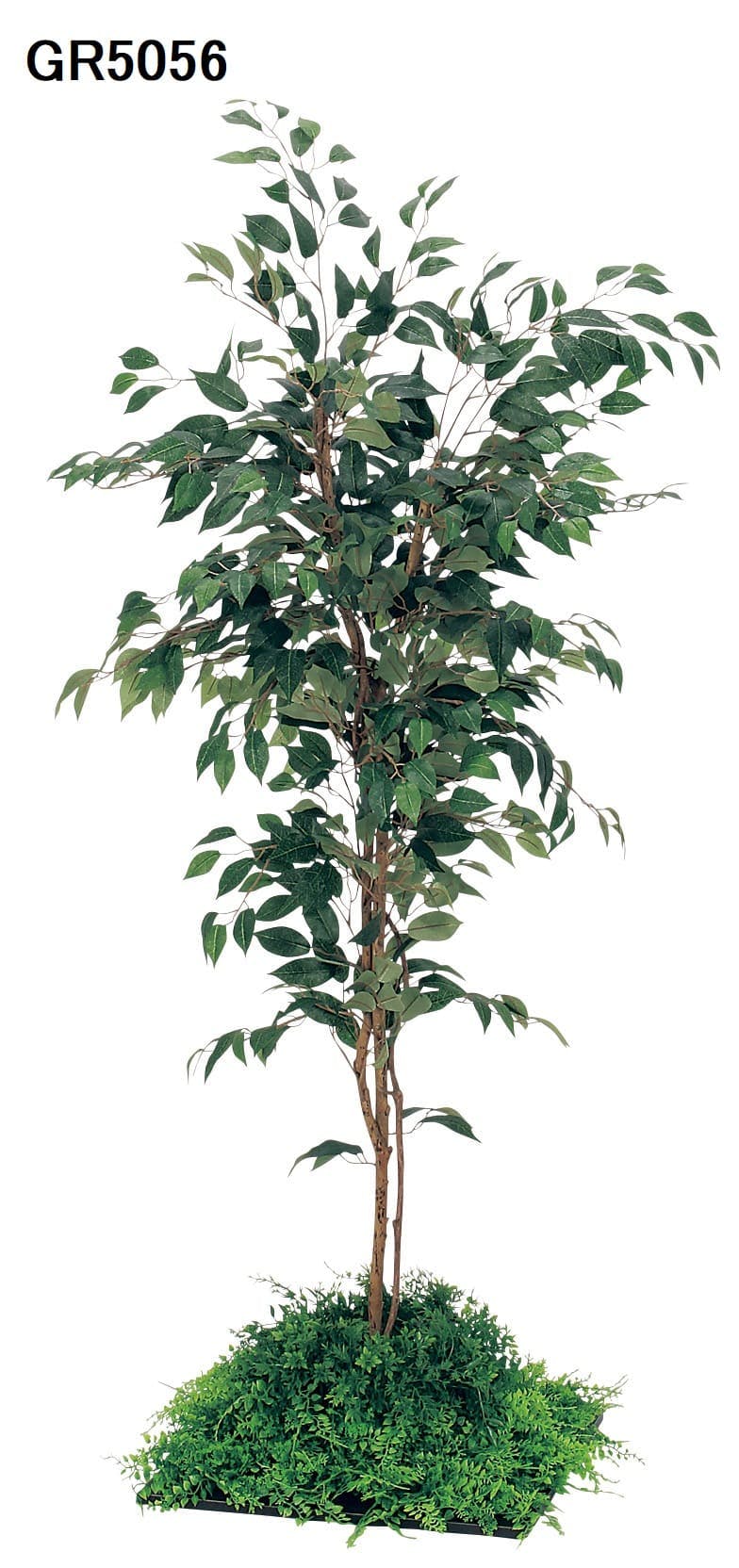 フロアグリーン GM5711 45角6連 フィカスベンジャミン H1800｜人工観葉植物 連接樹木