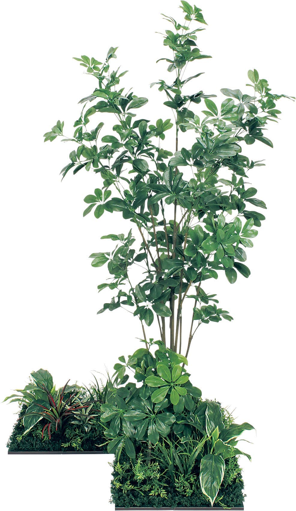 フロアグリーン GM5714 45角3連 シェフレラ H1800｜人工観葉植物 連接樹木