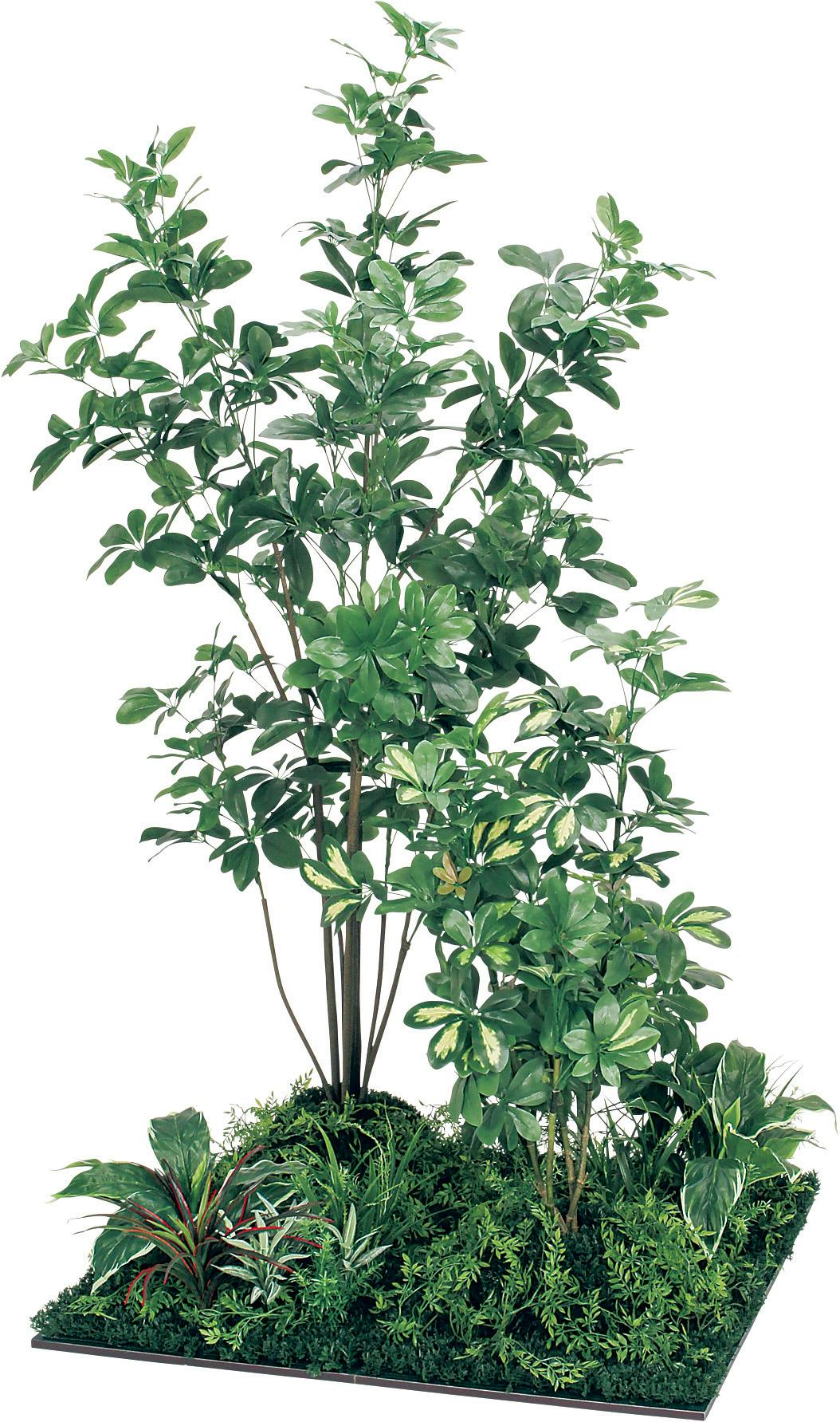 フロアグリーン GR5064 シェフレラ H1800｜人工観葉植物 連接樹木