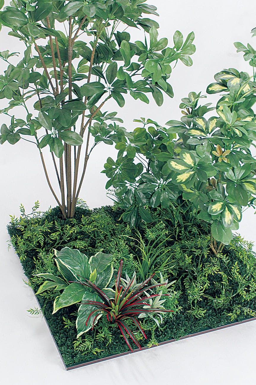 フロアグリーン GM5715 45角4連 シェフレラ H1800｜人工観葉植物 連接樹木