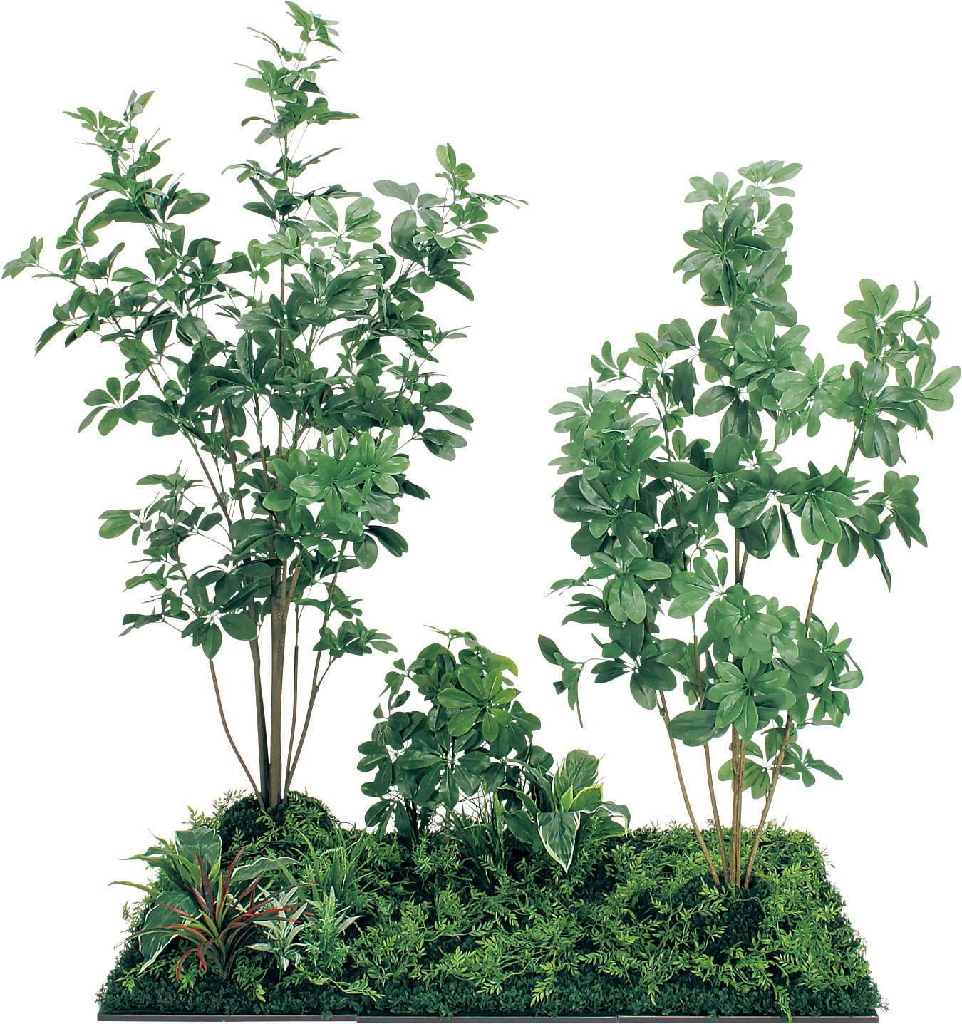 フロアグリーン GM5716 45角6連 シェフレラ H1800｜人工観葉植物 連接樹木