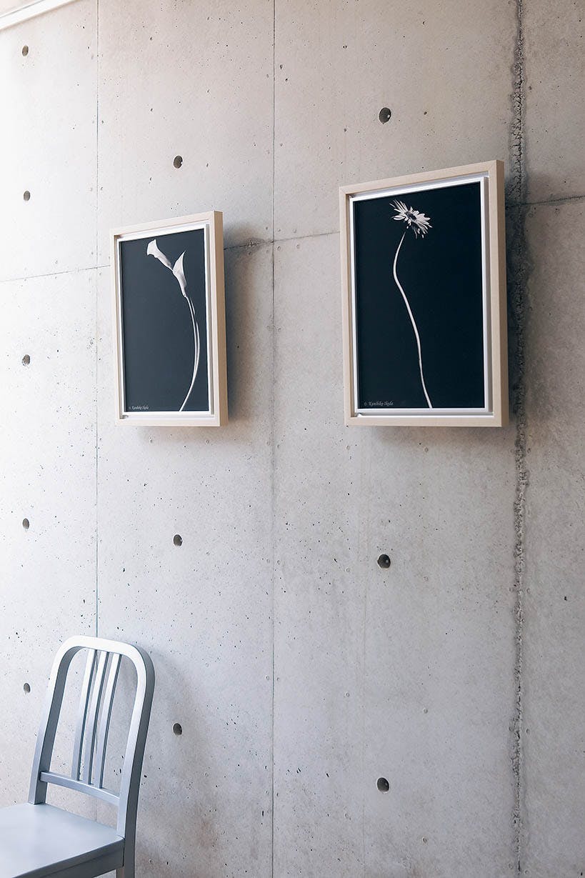 アートポスター AR7226 [池田邦彦/スタイリッシュフラワー21