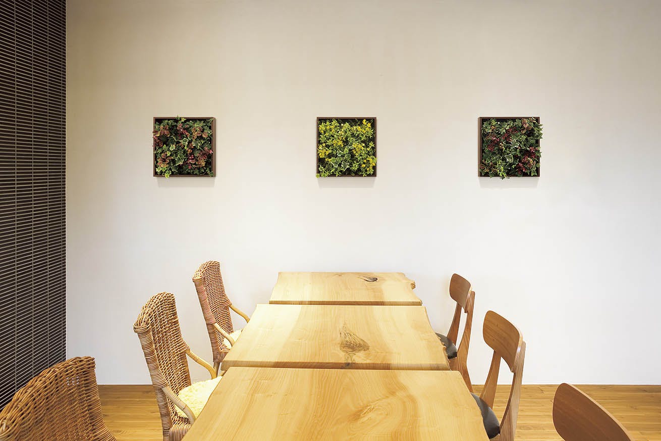 連接グリーン（単品） GR1084 38角｜フェイクグリーン 壁面緑化 BOX