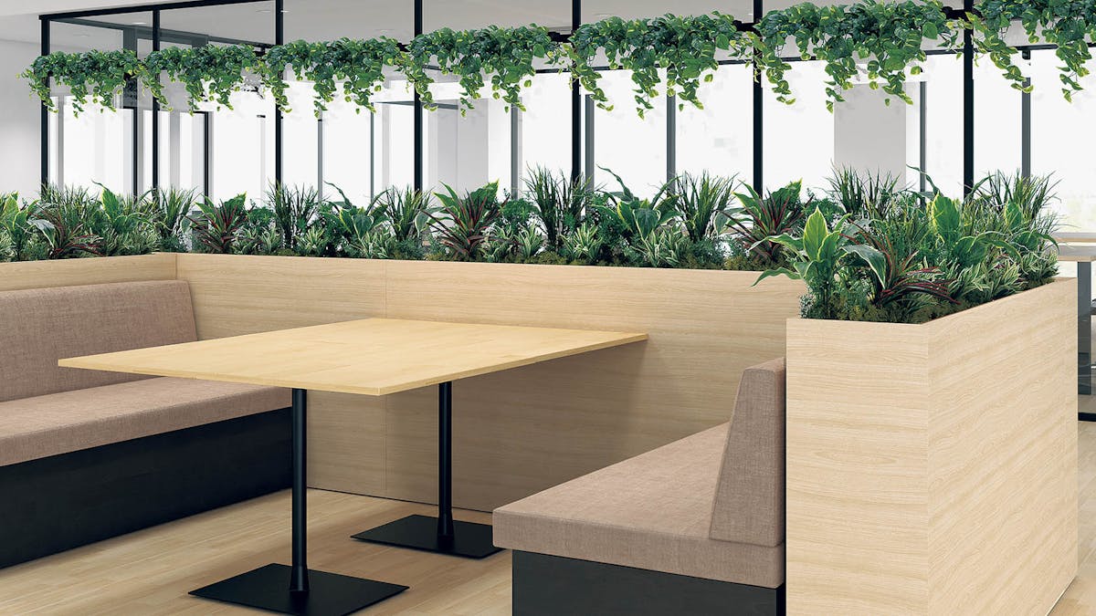 アレンジグリーン　ワイドグリーン