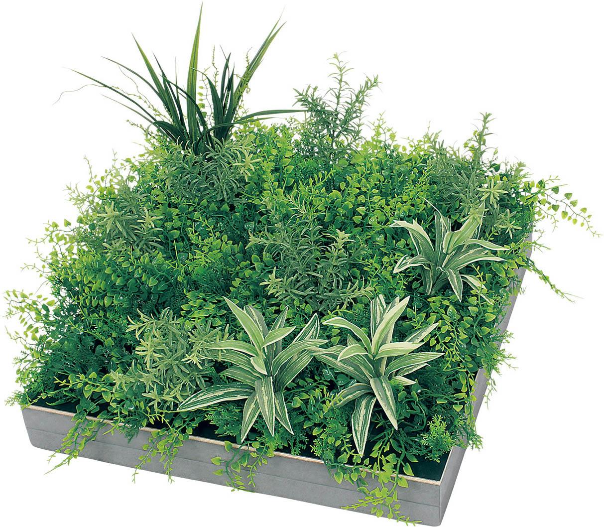 フェイクグリーン　スクエア フェイクグリーン×プランターセット「スマイラックス×Tall