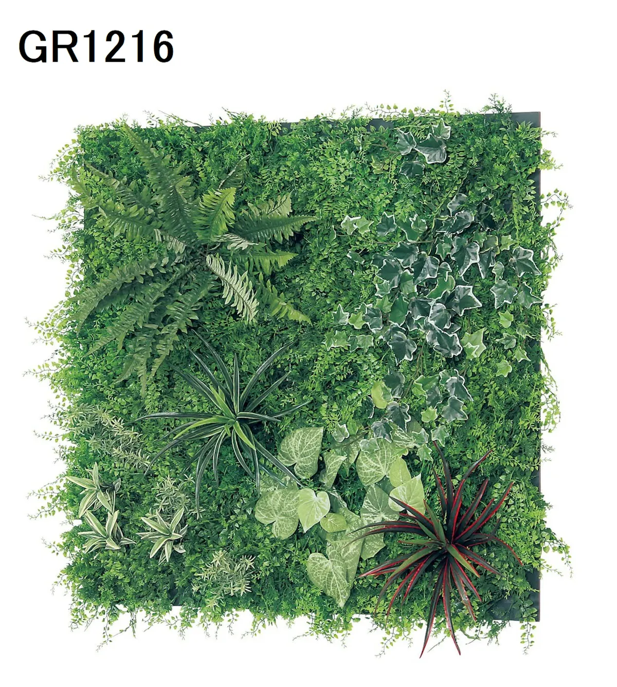壁面緑化 ボリュームセット GR1215×2、GR1216×2