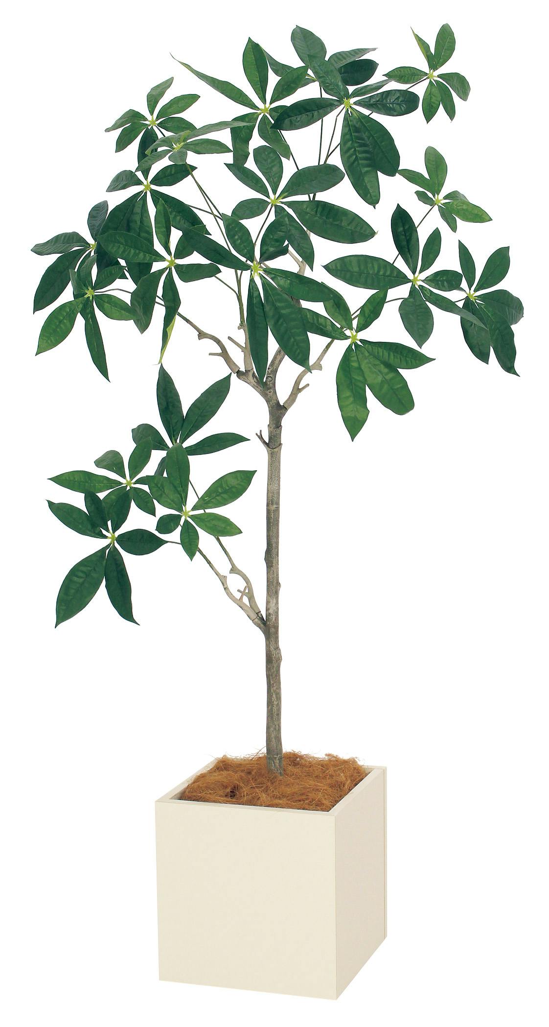 花・観葉植物用ポット サンディ ジャー M 50/B 1個入り sa-005c50e [KTp39]（代引き不可） 花・観葉植物用ポット サンディ ジャー M 50⁄B ベージュ（1個入り）sa